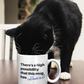 There's A High Possibility That This Mug Has Cat Hair In It